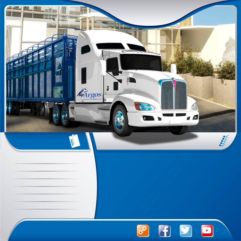 Transportes en camión trailer redilas
