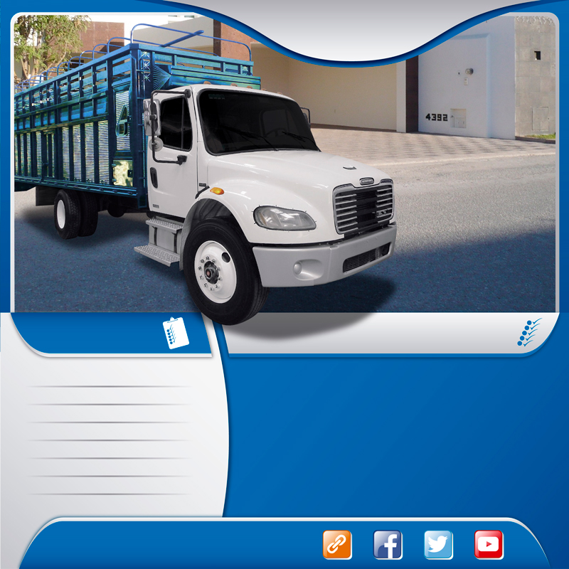  Transportes en camiones rabon